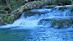 2014-10-099859.JPG