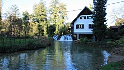 2014-10-099860.JPG