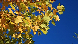 2014-10-099866.JPG