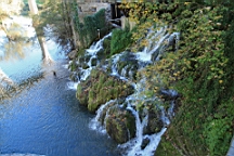 2014-10-099869.JPG