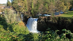 2014-10-099881.JPG