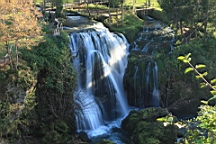 2014-10-099883.JPG