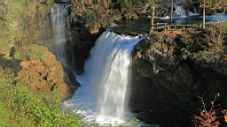 2014-10-099884.JPG