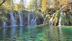 2014-10-100009.JPG