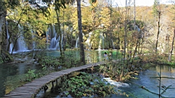 2014-10-100011.JPG
