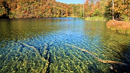 2014-10-100015.JPG
