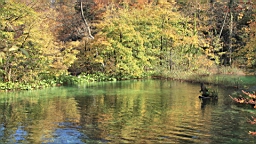2014-10-100020.JPG
