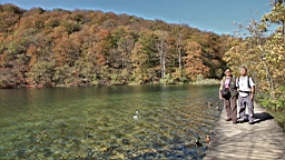 2014-10-100021.JPG