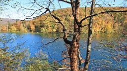2014-10-100023.JPG