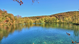 2014-10-100031.JPG