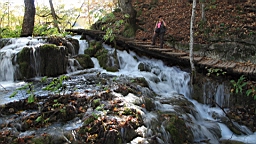 2014-10-100033.JPG