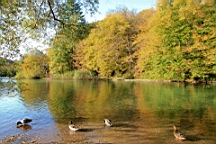 2014-10-100044.JPG