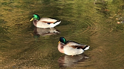 2014-10-100047.JPG