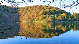 2014-10-100057.JPG