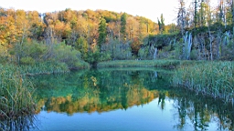 2014-10-100065.JPG