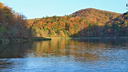 2014-10-100070.JPG