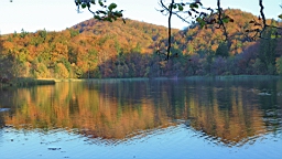 2014-10-100071.JPG