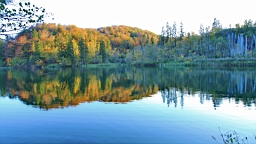 2014-10-100073.JPG