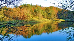 2014-10-100077.JPG