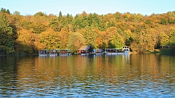 2014-10-100083.JPG