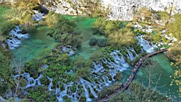 2014-10-109892.JPG