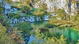 2014-10-109893.JPG