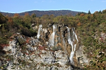 2014-10-109895.JPG