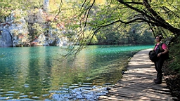 2014-10-109916.JPG