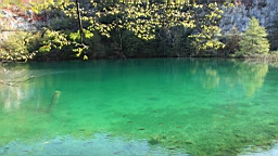 2014-10-109922.JPG