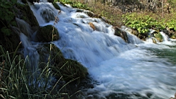 2014-10-109926.JPG