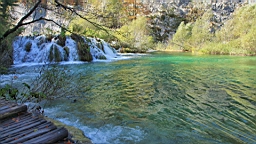 2014-10-109930.JPG