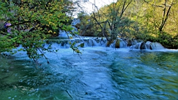 2014-10-109942.JPG