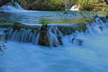 2014-10-109944.JPG