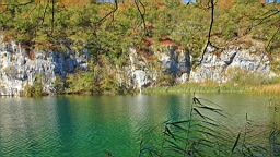 2014-10-109948.JPG