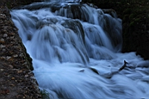 2014-10-109960.JPG