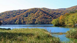 2014-10-109961.JPG