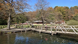 2014-10-109968.JPG