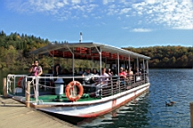 2014-10-109969.JPG