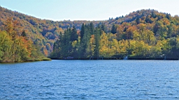 2014-10-109976.JPG