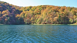 2014-10-109977.JPG