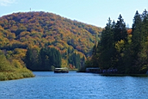 2014-10-109980.JPG