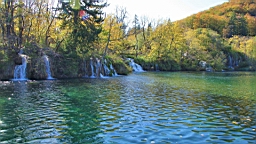2014-10-109984.JPG