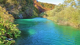 2014-10-109987.JPG