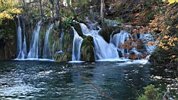 2014-10-109990.JPG