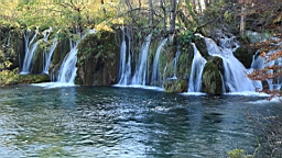 2014-10-109991.JPG