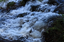 2014-10-109992.JPG