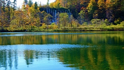 2014-10-109993.JPG