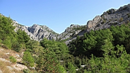 2014-10-110097.JPG