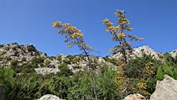 2014-10-110098.JPG