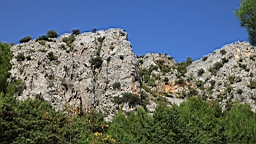 2014-10-110099.JPG